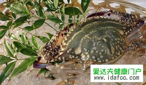 海鮮有哪些種類(lèi)圖片 海鮮怎么做好吃又簡(jiǎn)單