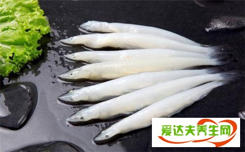 面條魚是銀魚嗎 面條魚怎么做好吃