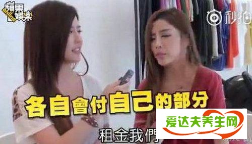 塑料姐妹情什么意思 塑料姐妹情下一句是什么