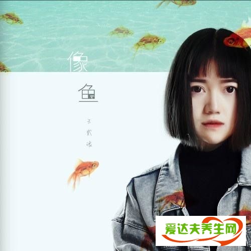 王貳浪像魚想表達(dá)什么 王貳浪像魚歌詞含義