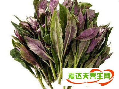 有“血皮菜”之稱的補(bǔ)血觀音菜，降脂解毒，卻很少有人吃過