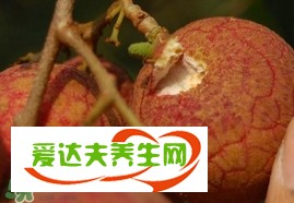 哪些地方盛產(chǎn)荔枝？荔枝王產(chǎn)地在哪兒