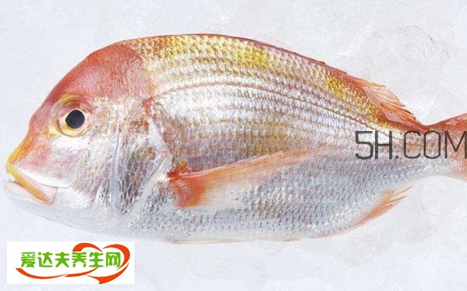 銅盆魚