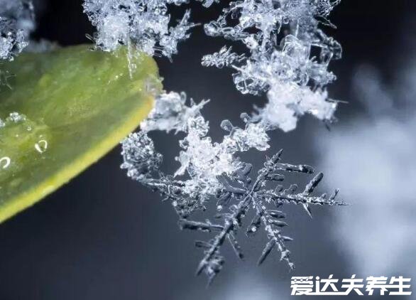 小雪節(jié)氣的含義是什么，冬季初雪開(kāi)始大降溫注意防寒