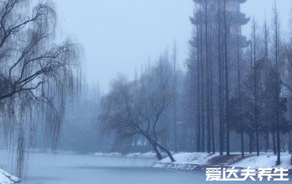 小雪節(jié)氣的含義是什么，冬季初雪開(kāi)始大降溫注意防寒