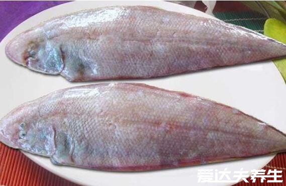 巴沙魚和龍利魚的區(qū)別，4大區(qū)別讓你一眼就能分清兩種魚