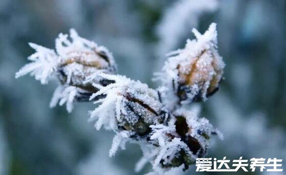 小雪節(jié)氣的含義是什么，天氣逐漸轉(zhuǎn)涼注意保暖(附小雪注意事項)