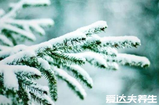 小雪節(jié)氣的含義是什么，天氣逐漸轉(zhuǎn)涼注意保暖(附小雪注意事項)