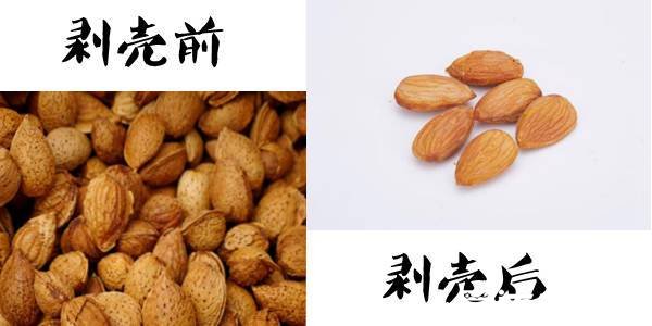 巴旦木和杏仁的區(qū)別，品種和外觀及營養(yǎng)價(jià)值都完全不同