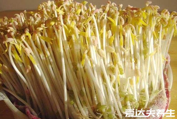 綠豆芽的生長(zhǎng)過(guò)程記錄，最詳細(xì)發(fā)芽觀察日記(圖文)