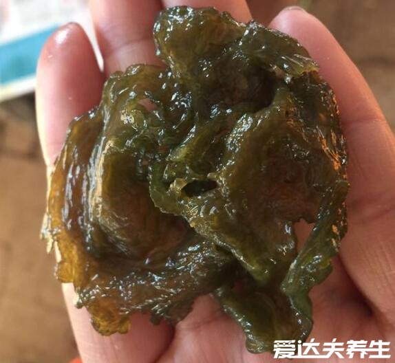 地皮菜的作用和功效，是預(yù)防老年癡呆非常好的野菜(圖片)