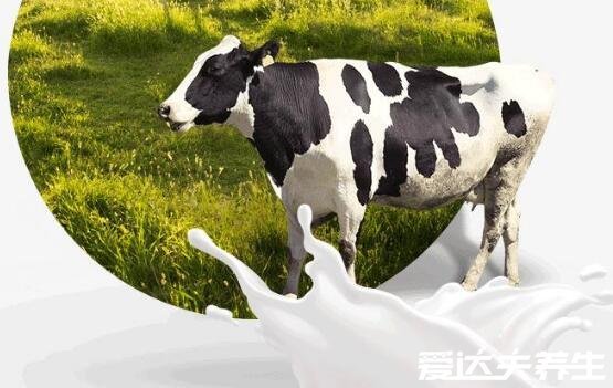 生牛乳是什么意思它與純牛奶有什么區(qū)別，看清這三點(diǎn)千萬別融混