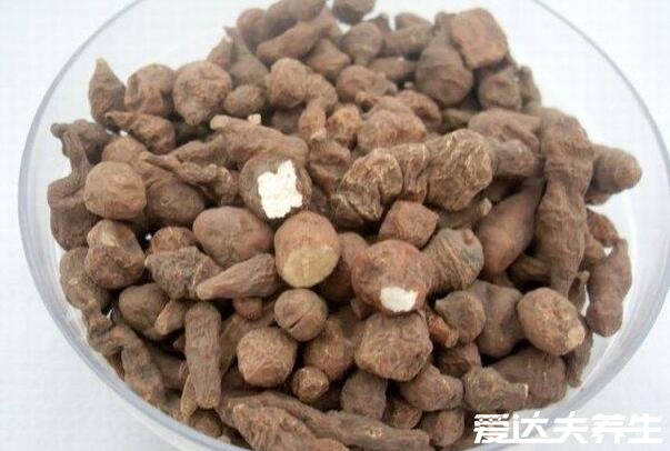 蕨麻怎么吃，蕨麻的功效與作用及食用方法