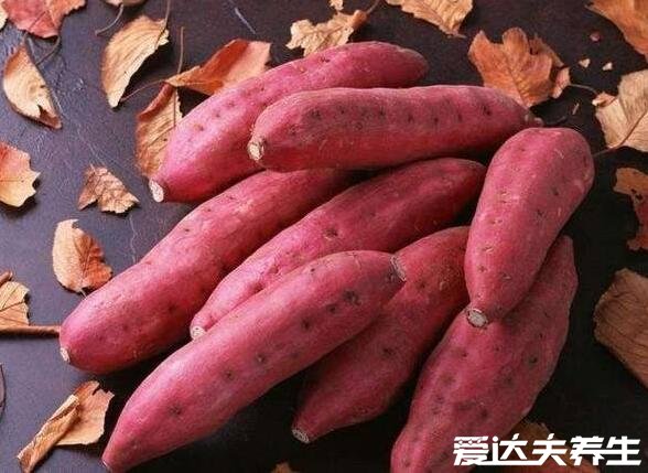 甘薯是什么，薯蕷屬草質(zhì)藤本的地下塊莖又叫紅薯和地瓜(圖片)