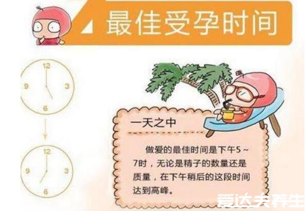 受孕生男孩的三個(gè)最佳時(shí)間點(diǎn)，在女性排卵期內(nèi)選擇最佳時(shí)間及受孕季節(jié)