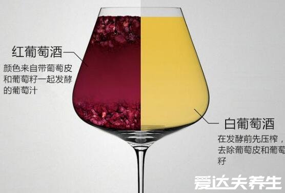 白葡萄酒和紅葡萄酒的區(qū)別，主要為原料和釀造工藝的不同