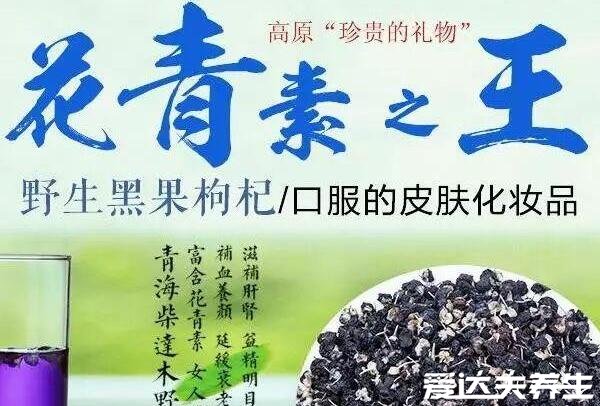 黑枸杞泡水喝的正確方法，400毫升60度以下的溫水泡15粒最佳