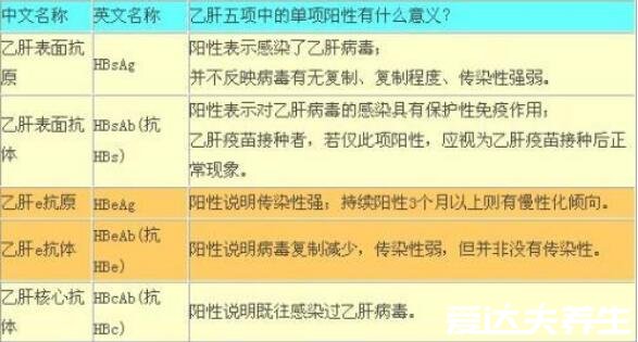 乙肝五項正常結果圖，只有乙肝表面抗體為陽性就是健康的