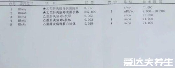 乙肝五項正常結果圖，只有乙肝表面抗體為陽性就是健康的