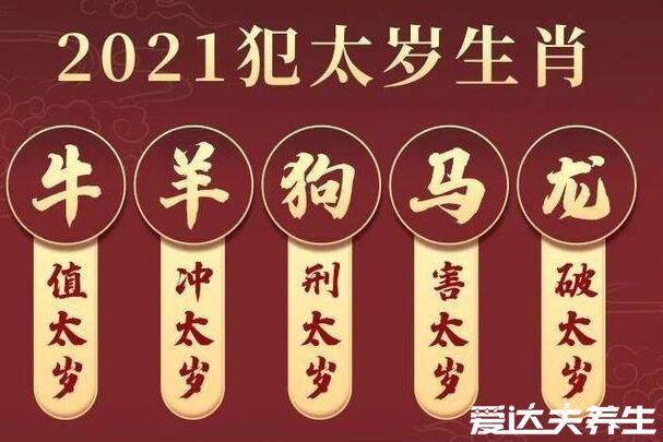 2021年犯太歲最兇的四大生肖，羊馬龍狗生肖的朋友們注意了