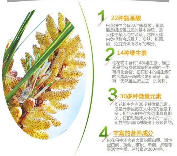 松花粉的功效與作用及食用方法，早晚一次溫水沖服(5大功效)