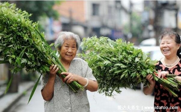 端午節(jié)門上掛艾草寓意什么意思，招百福/驅(qū)鬼辟邪/驅(qū)蟲防病