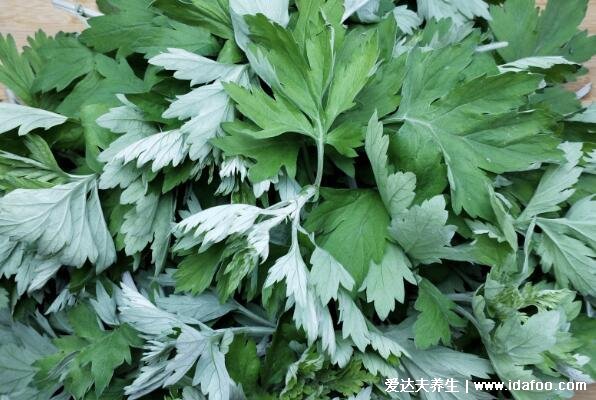 艾蒿圖片和艾草的區(qū)別，同種植物叫法不同(艾草和蒿草的區(qū)別)