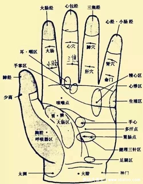 人體手部經(jīng)絡(luò)圖及功用解析，小拇指警惕月經(jīng)病