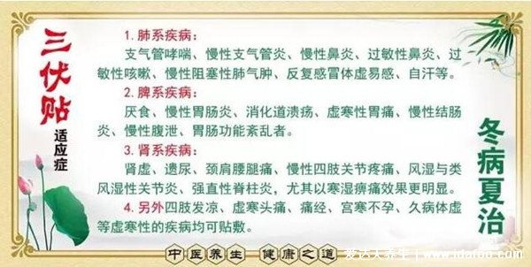 三伏貼有什么功效真的有用嗎，真的有用(可以緩解宮寒增強體質(zhì))