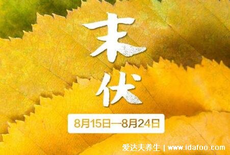 2021年三伏天時(shí)間表圖片，今年三伏天具體時(shí)間如下(7.11-8.19)