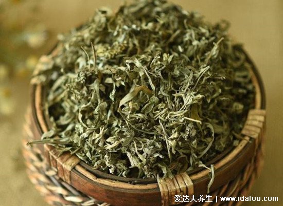 不同形態(tài)艾草長什么樣子圖片，艾蒿和艾草有什么區(qū)別