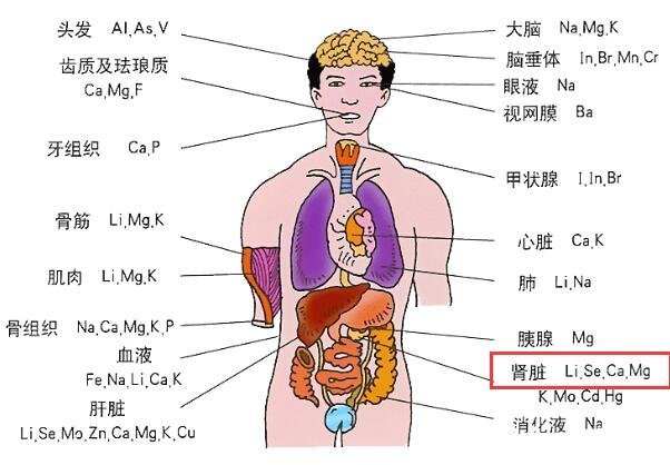 堅(jiān)持腎結(jié)石五吃三不吃，注意睡前喝牛奶會(huì)加重結(jié)石