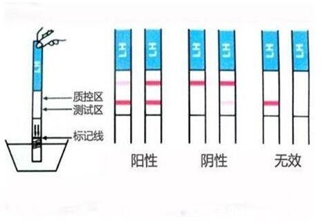 真實(shí)清晰驗(yàn)孕棒圖片懷孕圖片和沒懷孕圖片，一下就能看懂