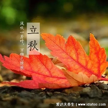 立秋吃餃子的寓意是什么，貼秋膘滋補身體(由陽盛轉(zhuǎn)為陰盛)