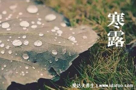 寒露節(jié)氣的含義是什么意思，氣溫降低及時(shí)添衣(進(jìn)入深秋了)