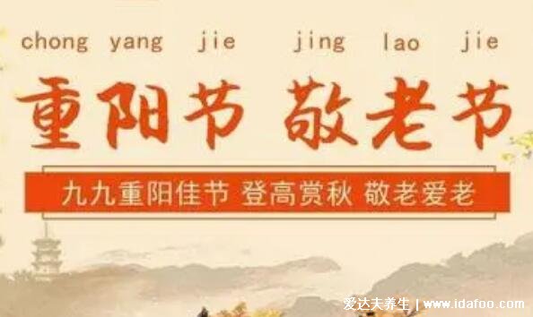 重陽節(jié)的意義是什么是鬼節(jié)嗎，不是鬼節(jié)/祭祖也登高(有思念敬老意義)