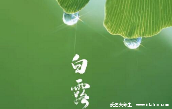 白露節(jié)氣的含義是什么，吃什么傳統(tǒng)食物能養(yǎng)生(秋季轉(zhuǎn)涼)