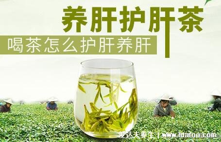 適合長期喝的養(yǎng)肝茶，玫瑰花/茉莉花茶等5種茶(茉莉花茶6種人不要喝)