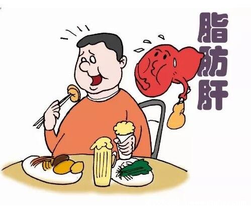 脂肪肝最怕三種食物，要遠(yuǎn)離甜食/動(dòng)物肝臟/酒類食物(小心加重)