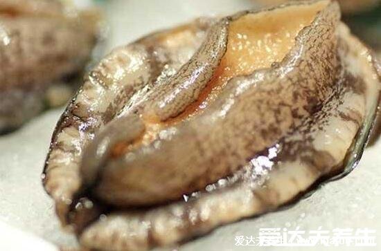 鮑魚蒸多久才可以吃，蒜蓉蒸鮑魚水開蒸只要4分鐘(附視頻)