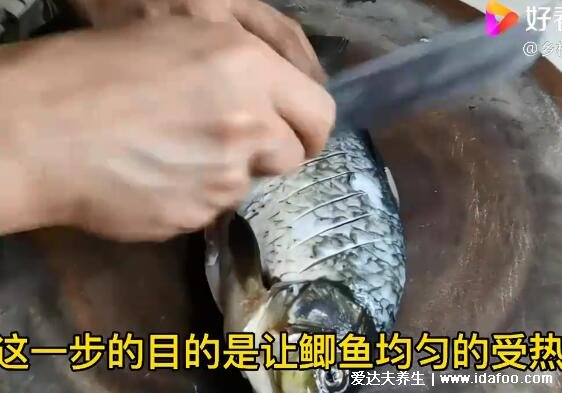 鯽魚湯怎么燉好喝又營養(yǎng)，超詳細(xì)鯽魚豆腐湯視頻做法(水要一次加夠)