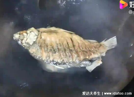 鯽魚湯怎么燉好喝又營養(yǎng)，超詳細(xì)鯽魚豆腐湯視頻做法(水要一次加夠)