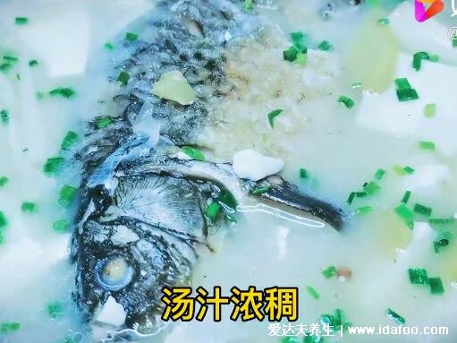 鯽魚湯怎么燉好喝又營養(yǎng)，超詳細(xì)鯽魚豆腐湯視頻做法(水要一次加夠)