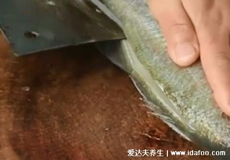 清蒸鱸魚蒸魚要多久，水開后可蒸12分鐘(附做法視頻)