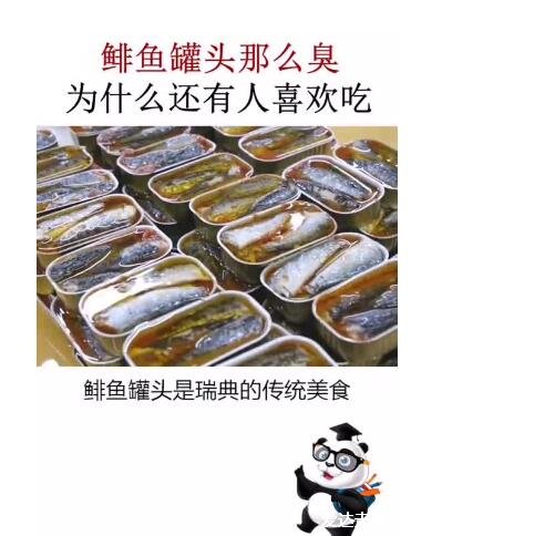 鯡魚(yú)罐頭為什么這么臭還有人吃，自然發(fā)酵產(chǎn)生臭味(是瑞典的傳統(tǒng)食物)