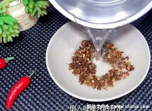 羊肉餡餃子配什么菜好，年夜飯?jiān)囋嚲虏损W附視頻(韭菜補(bǔ)腎溫陽)