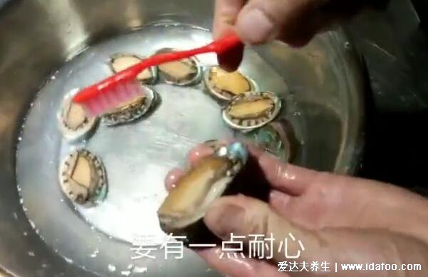 鮑魚吃哪些部位圖解，排泄口和內(nèi)臟很臟不能吃(附鮑魚怎么殺和清洗)