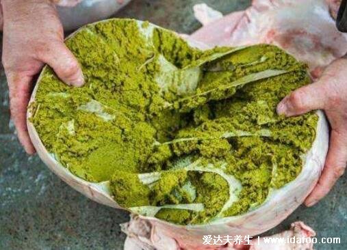 牛癟是什么和牛屎有什么區(qū)別，牛胃中沒完全消化的食物(重口味美食)