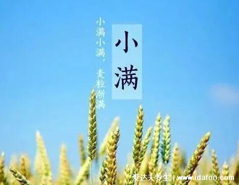 小滿節(jié)氣的特點和風(fēng)俗，進(jìn)入大幅降水的雨季(祭車神/吃苦菜) 