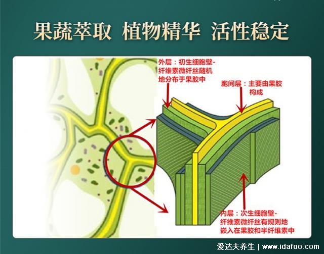 超微化果蔬膳食纖維常青通中國發(fā)明專利